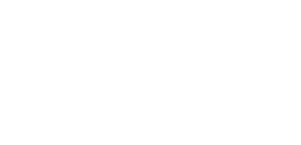 doctor vet cartella clinica veterinaria