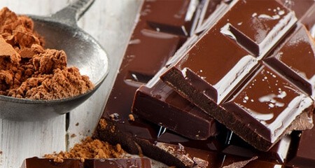 cioccolato sostanza tossica e nociva per cani e gatti cioccolato sostanza tossica e nociva per cani e gatti