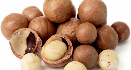 noci e frutta secca nocive per cani e gatti