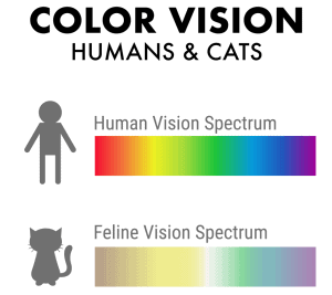 spettro di colori - uomo e gatto