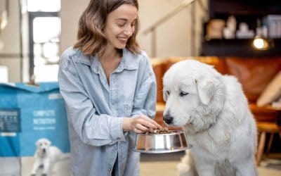 Come leggere le etichette dei cibi e degli alimenti per cani
