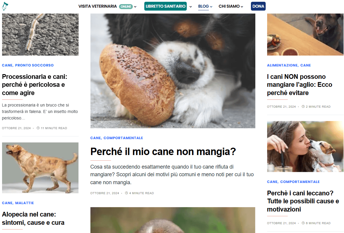Sito web